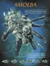 amoeba