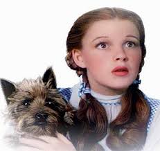 Dorothy and Toto