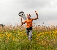 capturing a butterfly
