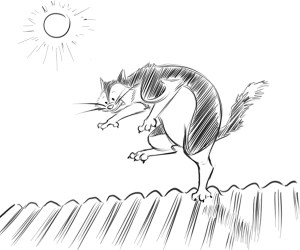 cat-on-a-hot-tin-roof-jpg