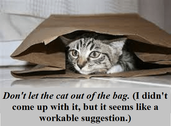 cat out of the bag with words
