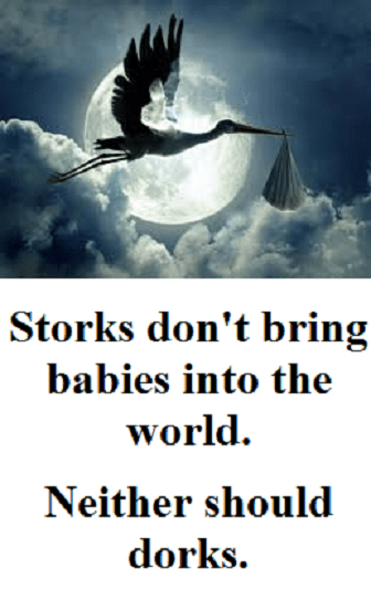 stork bringing baby with words
