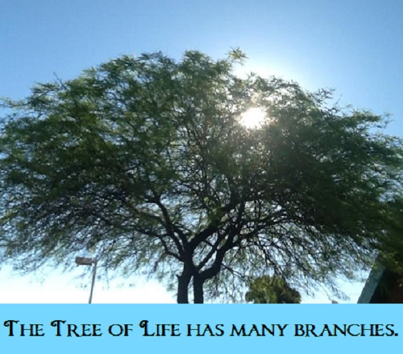 jon's shining tree with words