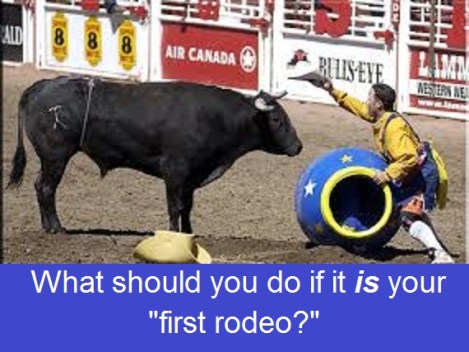 bull and clown with words