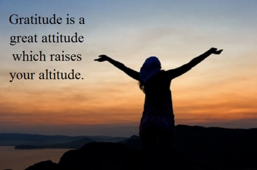 Gratitude with words