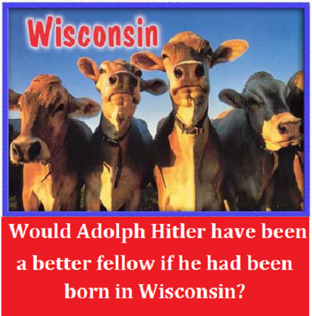Wisconsin cows with words