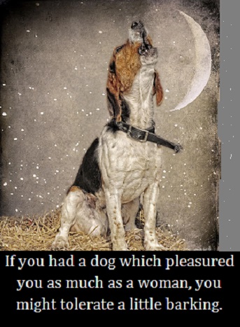 hound dog with words