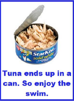 tuna with words