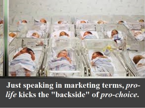 newborn babies with words