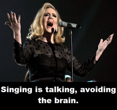 Adele singing with words
