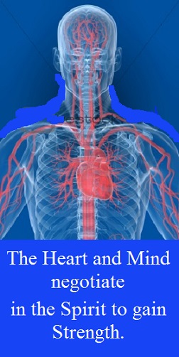 body heart with words