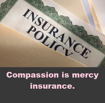 insurance policy with words