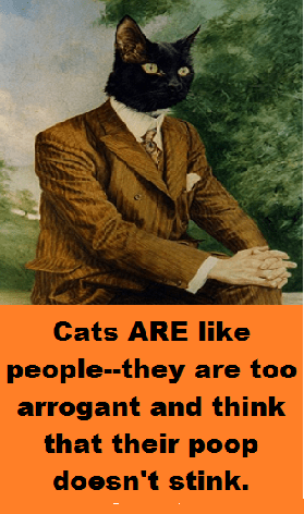 cat-man-with-words-2