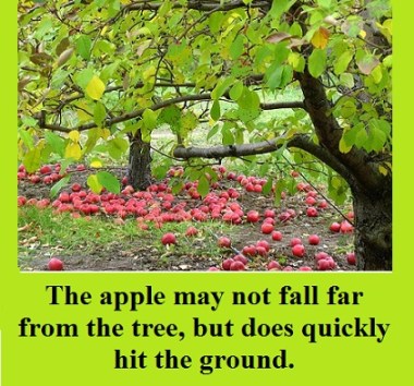 apple-tree-no-apples-with-words