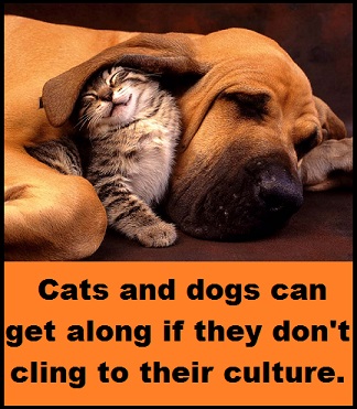 cat-and-dog-together-with-words
