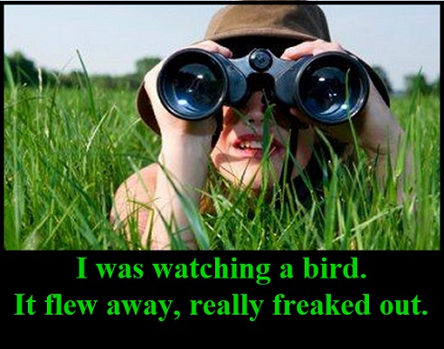 bird watching